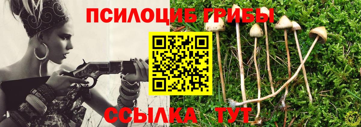 Галлюциногенные грибы прущие грибы  Галлюциногенные грибы MAGIC MUSHROOMS  Новоалександровск  Вход с VPN 